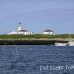 lighthouse_island_seal_machias_h_2297_can1003.jpg